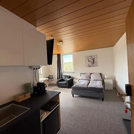 Bluestone Appartments 25qm Free And Near Parking Apartment Blaustein